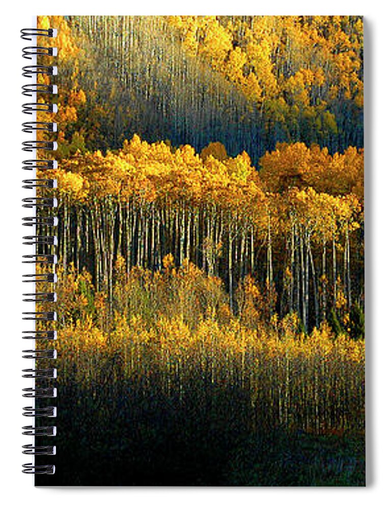 Aspen Spiral Notebook featuring the photograph Morning Kiss by Jill Westbrook