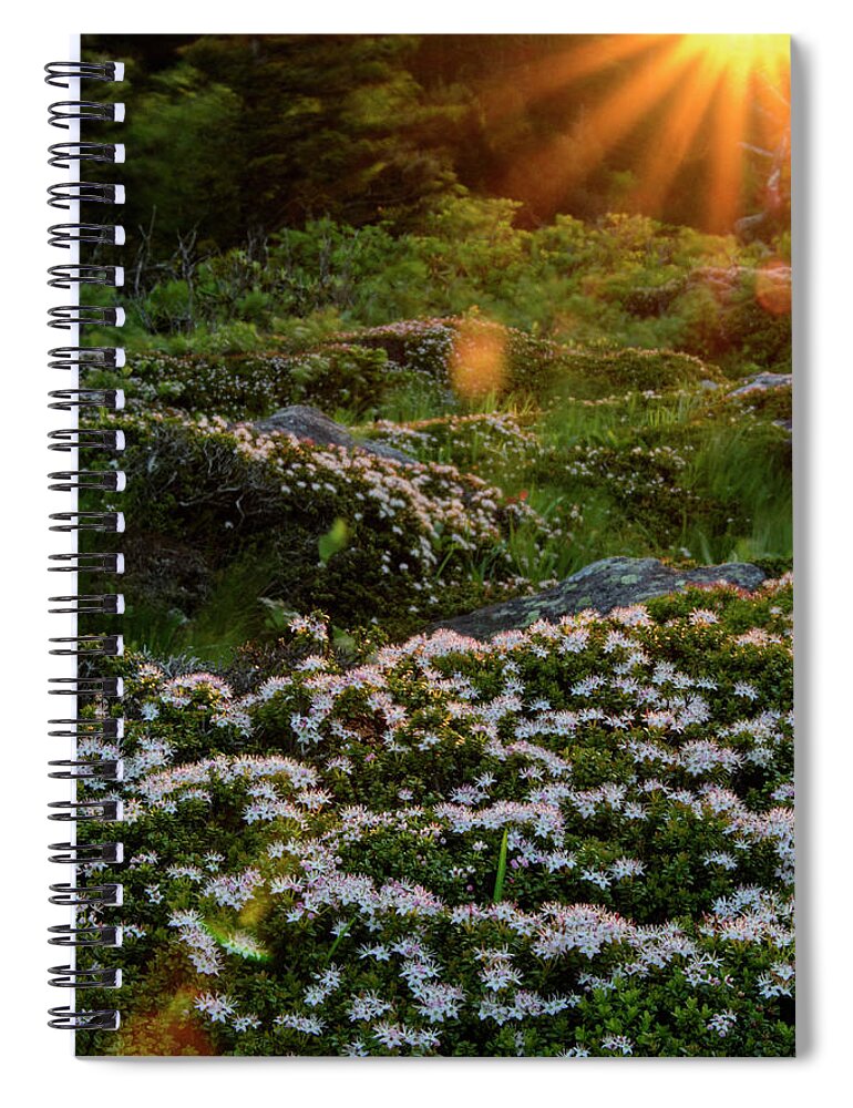 Blue Ridge Mountains Spiral Notebook featuring the photograph Morning Rays by Melissa Southern