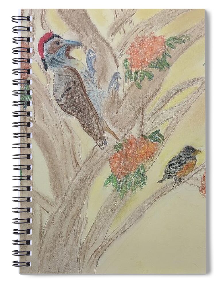 Woodpecker Spiral Notebook featuring the pastel Morning Sounds by Suzanne Berthier