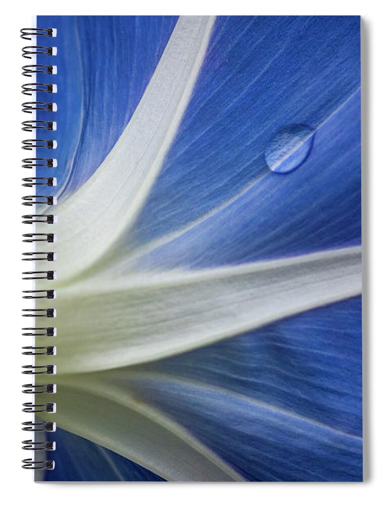 Morning Glory Spiral Notebook featuring the photograph Morning Star by Jurgen Lorenzen