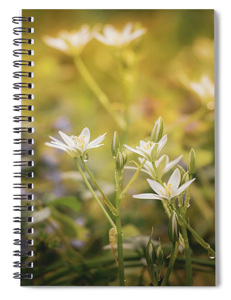 Botany Spiral Notebook featuring the photograph Morning Wildflowers by Jason Fink