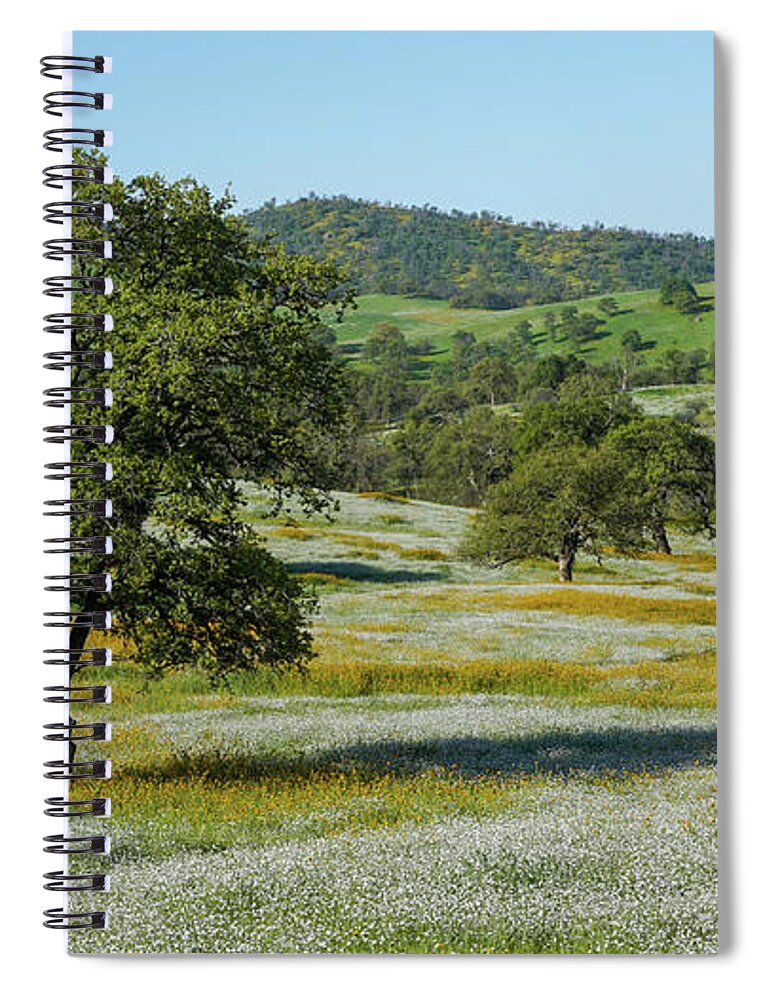 Morning Spiral Notebook featuring the photograph Morning Yokohl Valley by Brett Harvey