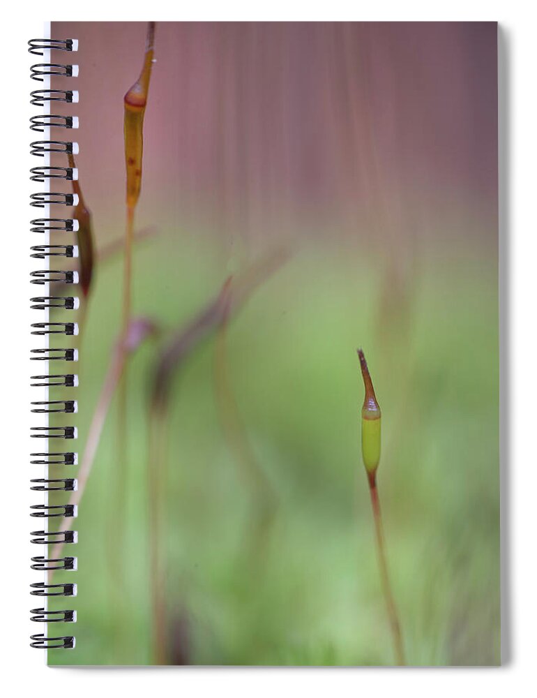 Moss Spiral Notebook featuring the photograph Moss Closeup by Karen Rispin