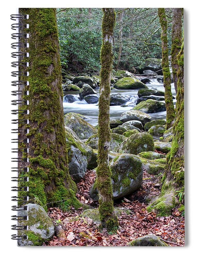 Tennessee Spiral Notebook featuring the photograph Moss Covered Trees by Phil Perkins