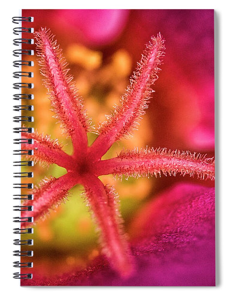 Flowers Spiral Notebook featuring the photograph Moss Rose 2 by Robert Fawcett