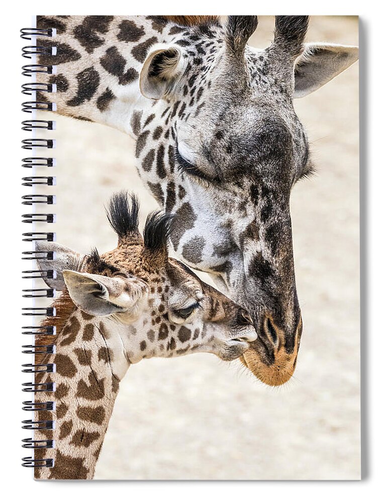 Giraffe Spiral Notebook featuring the photograph Mother's Love by Jim Miller