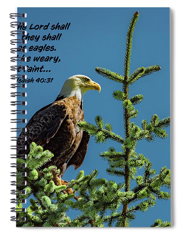 American Bald Eagle Spiral Notebook featuring the photograph Mount Up With Wings by Marcy Wielfaert