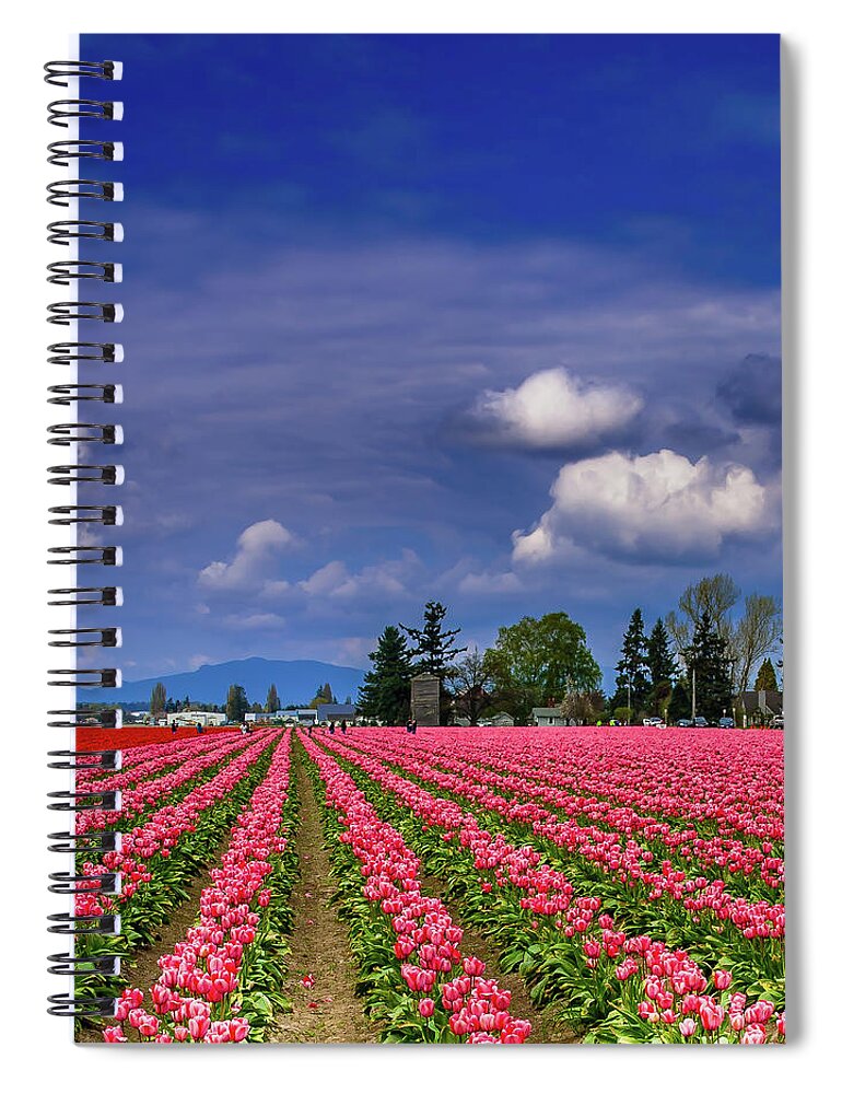 Mount Vernon Tulips Spiral Notebook featuring the photograph Mount Vernon Tulips by David Patterson