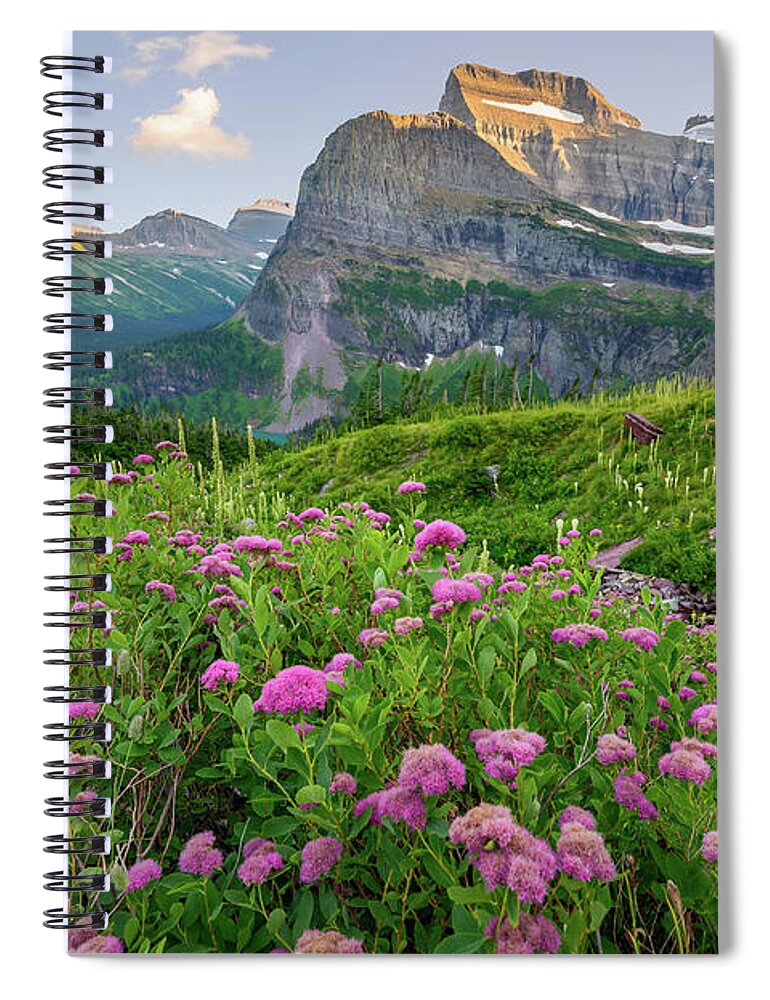 Flowers Spiral Notebook featuring the photograph Mountain meadow by Robert Miller