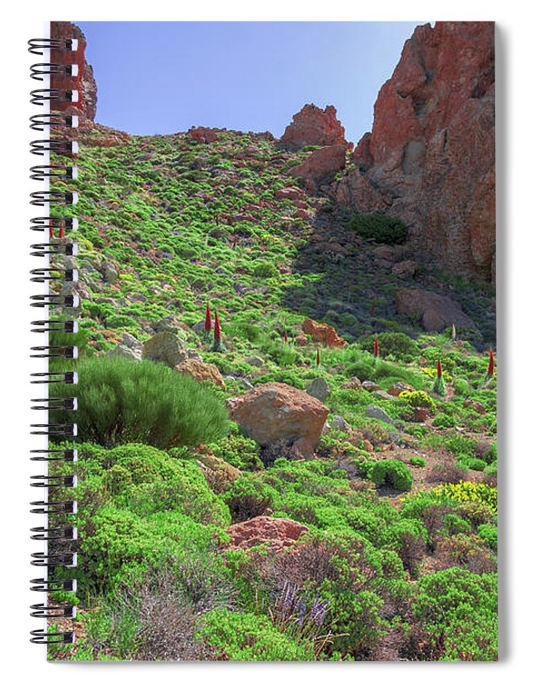 Mountains Spiral Notebook featuring the photograph Mountain meadow with buglosses by Sun Travels