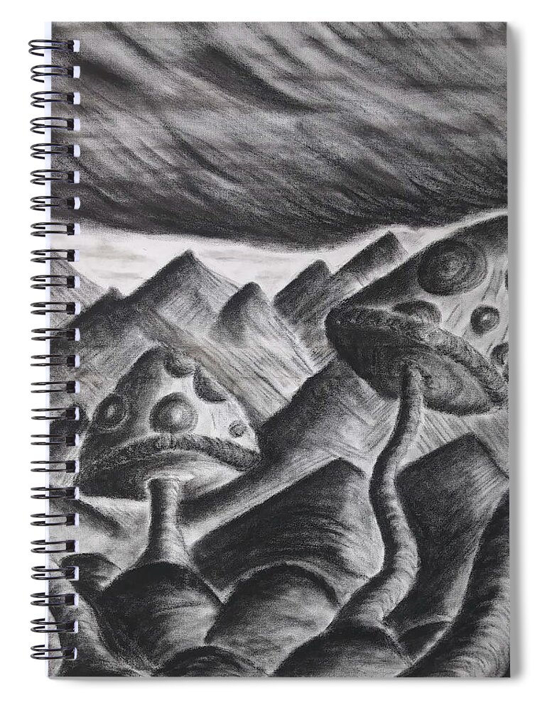 Mountains Spiral Notebook featuring the drawing Mountain Shrooms by Aaron Bombalicki