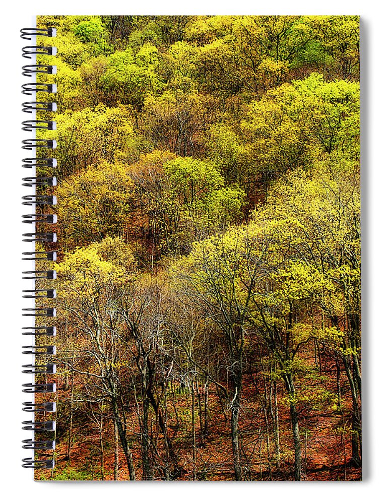 Photo Spiral Notebook featuring the photograph Mountain Spring -2 by Alan Hausenflock