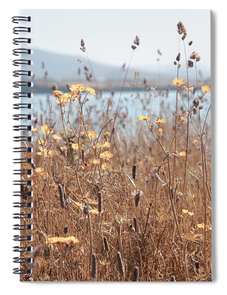 Clouds Spiral Notebook featuring the photograph Mountainside Wildflowers by Debra and Dave Vanderlaan