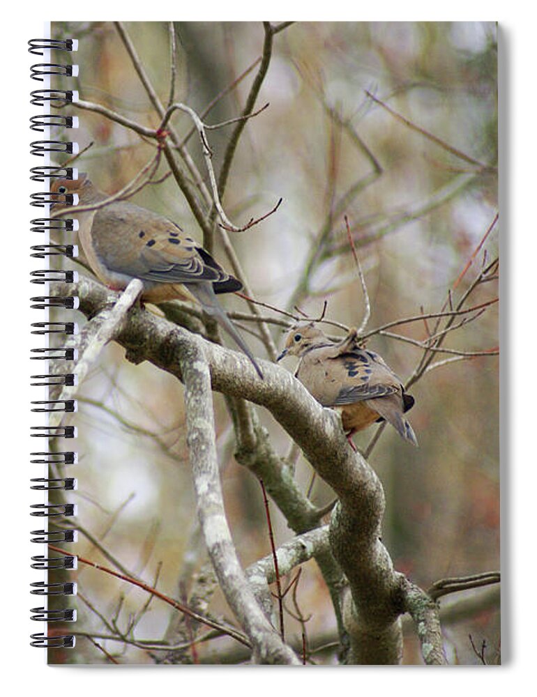  Spiral Notebook featuring the photograph Mourning Doves by Heather E Harman