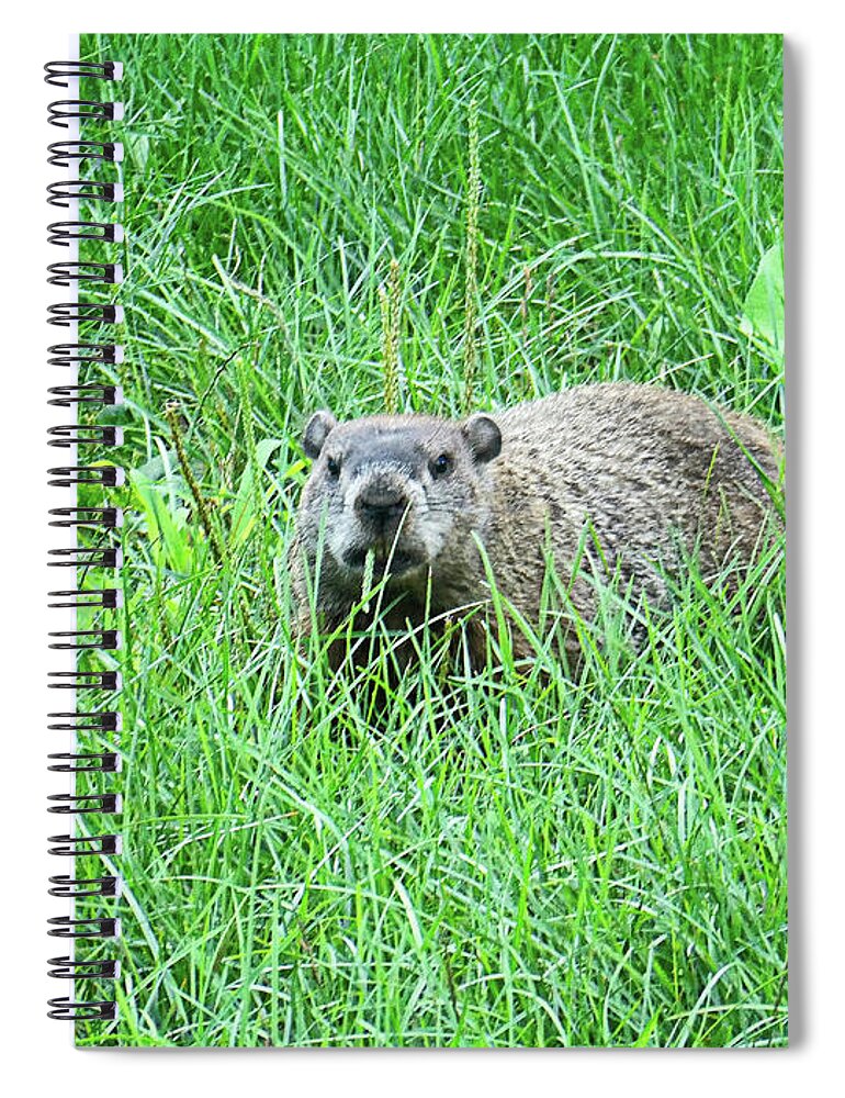 Groundhog Spiral Notebook featuring the digital art Mr Groundhog by Dee Flouton