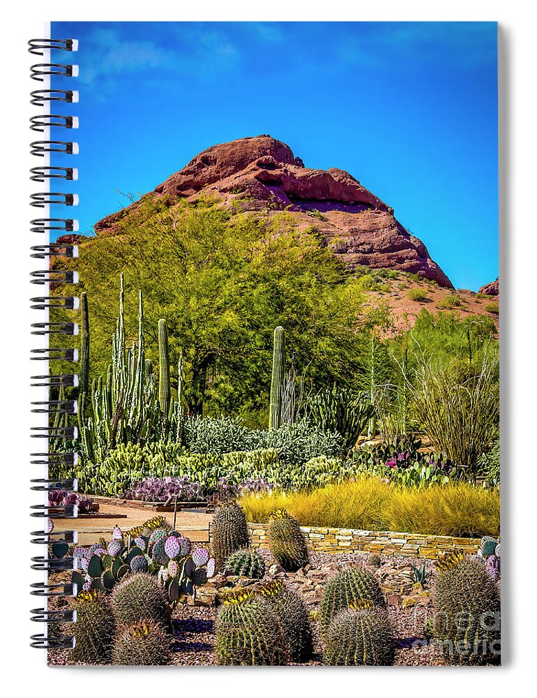 Jon Burch Spiral Notebook featuring the photograph Mt. Papago and Cacti by Jon Burch Photography