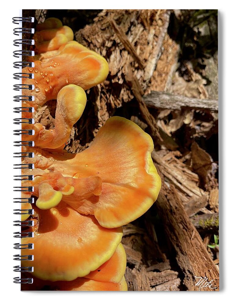  Spiral Notebook featuring the photograph Mushroom by Meta Gatschenberger