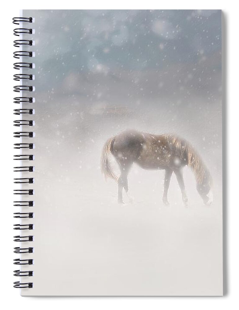 Horses Spiral Notebook featuring the photograph Mustangs Grazing in Snow by Marjorie Whitley