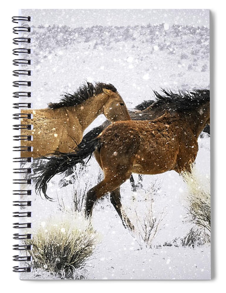 Mustang Wild Horse Galloping Art Prints Spiral Notebook featuring the photograph Mustangs In Winter by Jerry Cowart