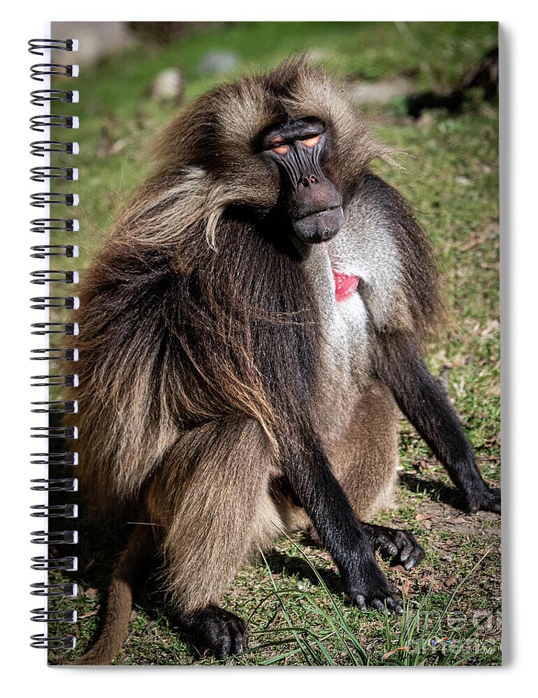 David Levin Photography Spiral Notebook featuring the photograph My Best Side by David Levin