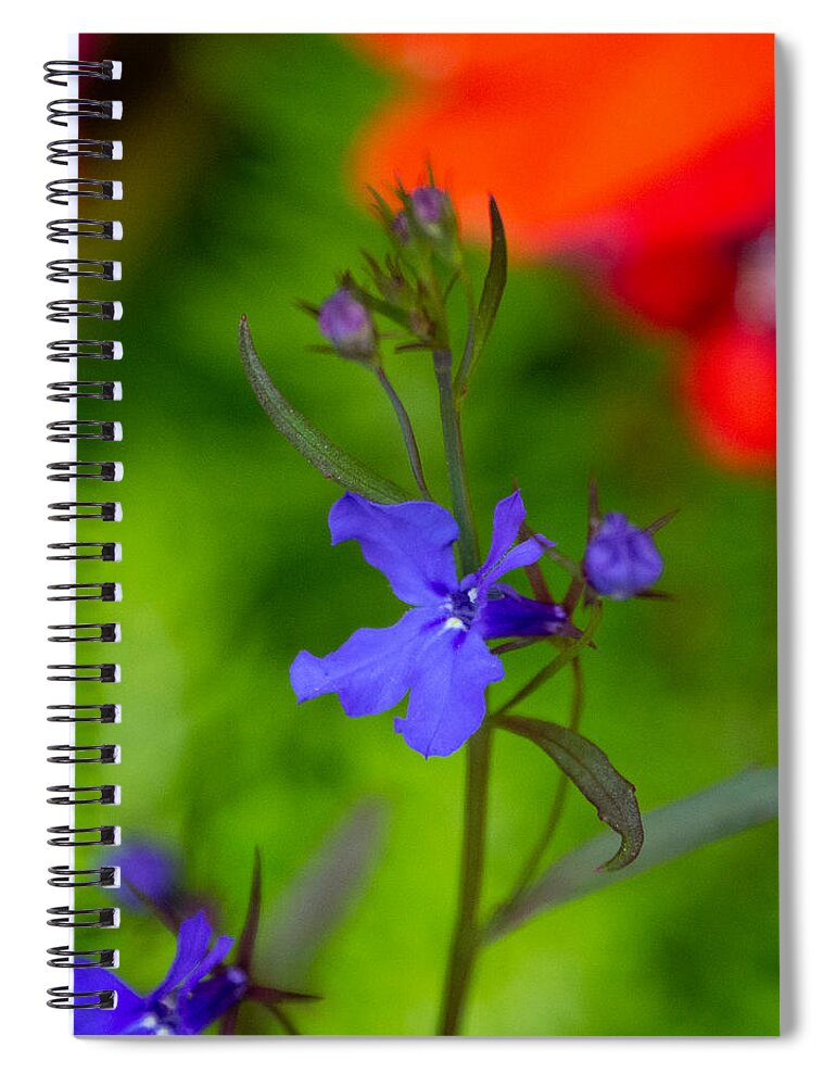 Flower Pot Spiral Notebook featuring the photograph My Flowers by Linda Bonaccorsi