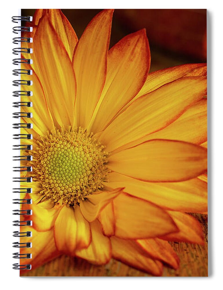 Flower Spiral Notebook featuring the photograph My Heart by Bob Cournoyer