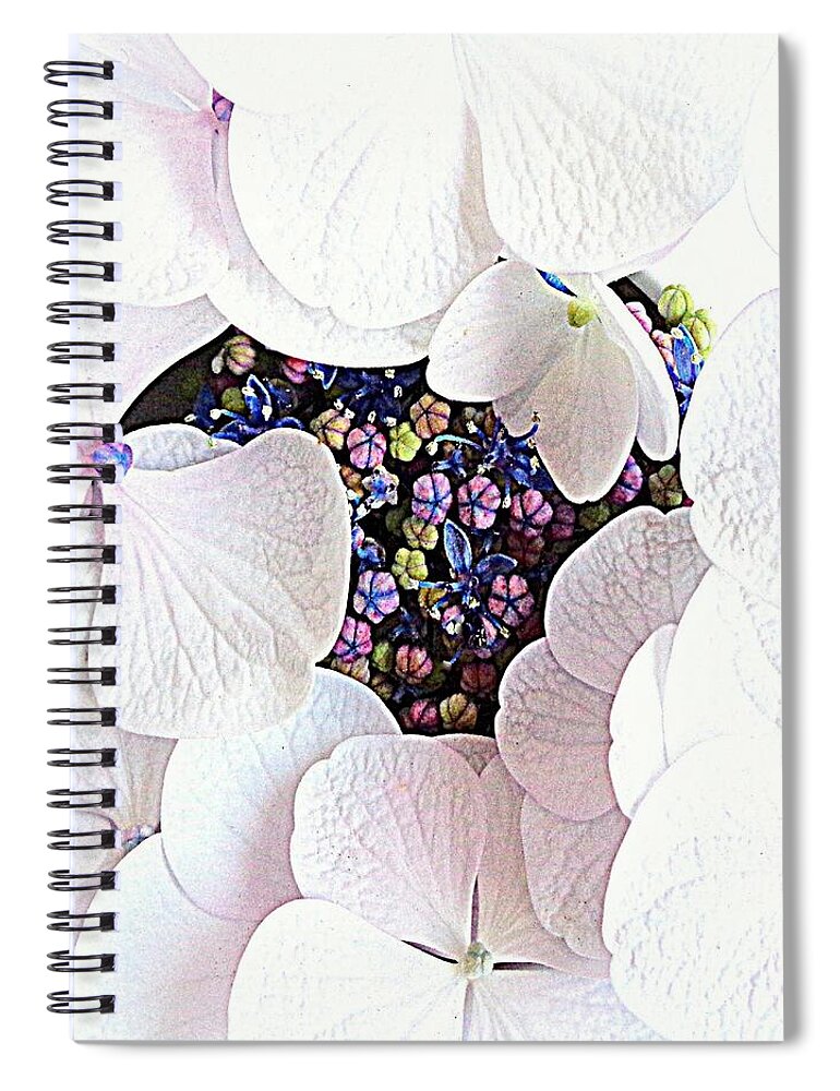 White Spiral Notebook featuring the photograph My Hydrangea-Her Secret Life  by VIVA Anderson