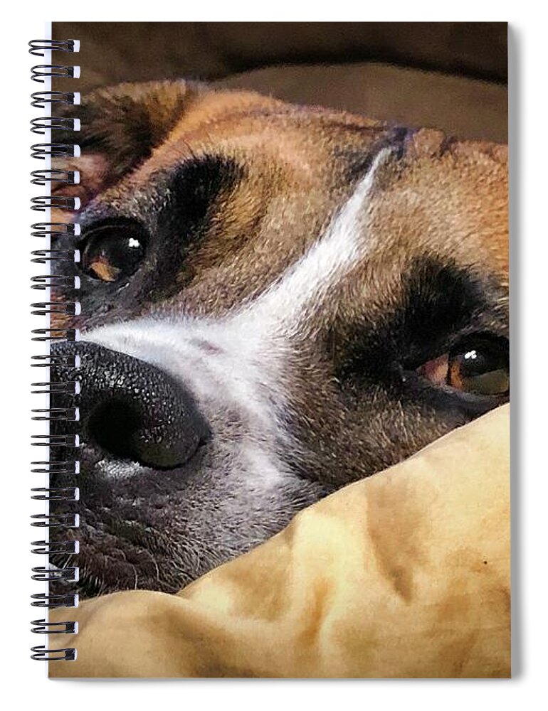  Spiral Notebook featuring the photograph My Pillow by Jack Wilson