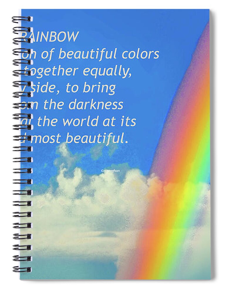 Rainbow Friends | Spiral Notebook