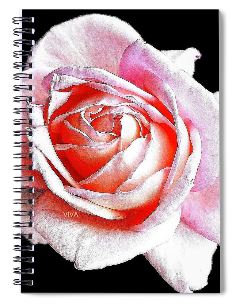 Rose Spiral Notebook featuring the photograph My ROSIE by VIVA Anderson