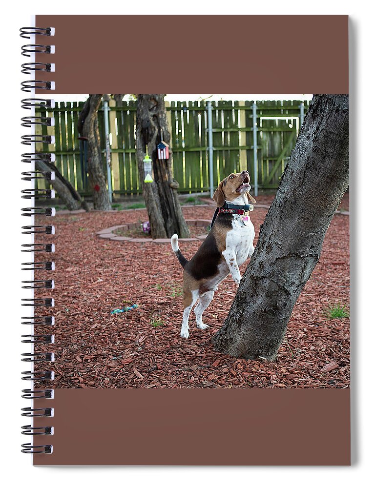 Dog Spiral Notebook featuring the photograph My Yard by C Winslow Shafer
