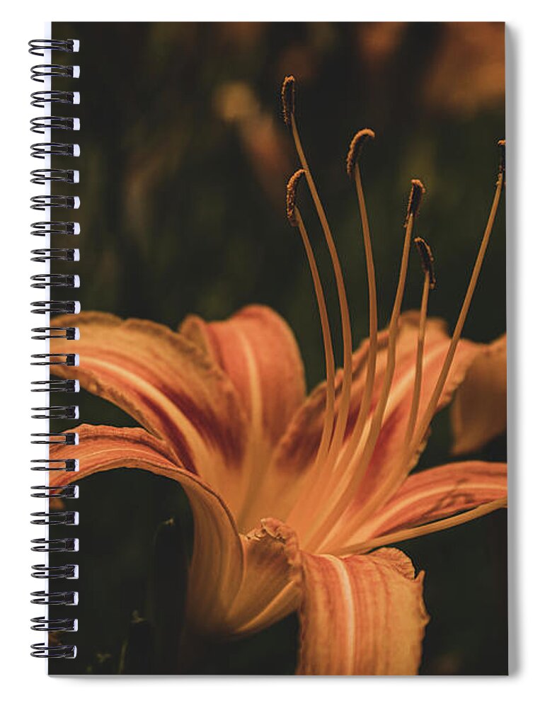 Flower Spiral Notebook featuring the photograph Mysterious Daylily by Adelaide Lin