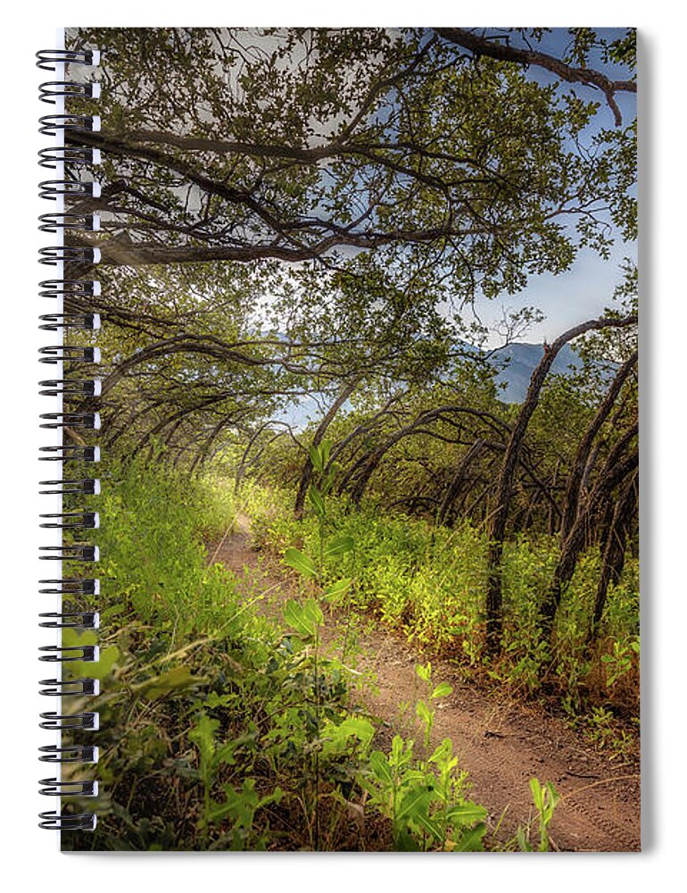 Woods Spiral Notebook featuring the photograph Mystical Worshipping Woods by Bradley Morris