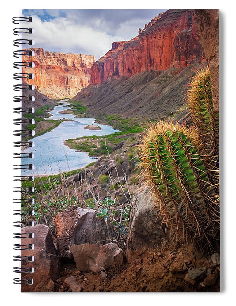 America Spiral Notebook featuring the photograph Nankoweap Cactus by Inge Johnsson