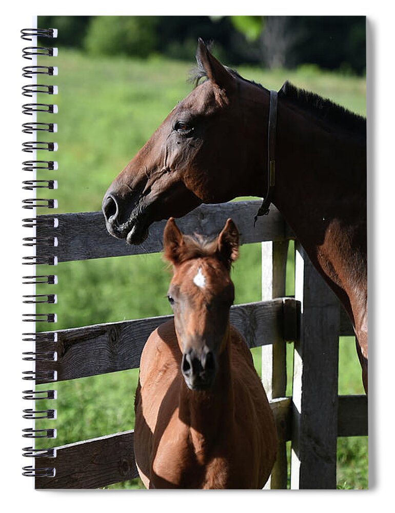  Spiral Notebook featuring the photograph Nanny McPhee and Zephyr by Carien Schippers