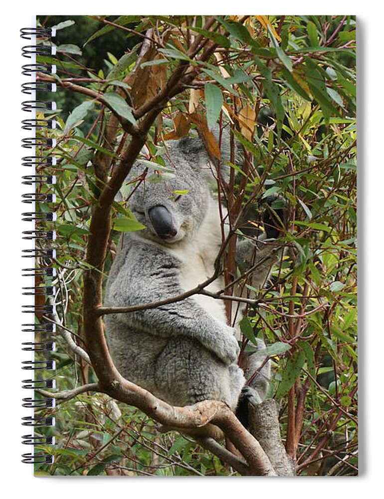 Nap Spiral Notebook featuring the photograph Nap Time by Brent Knippel