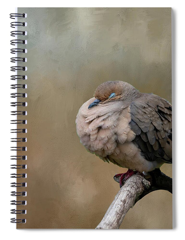 Mourning Dove Spiral Notebook featuring the photograph Nap Time by Cathy Kovarik