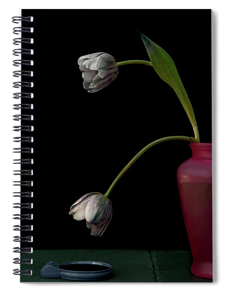 Narcissism Spiral Notebook featuring the photograph Narcissus and Echo by Alessandra RC