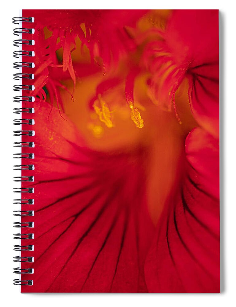 Macro Spiral Notebook featuring the photograph Nasturtium Macro Image by Bruce Pritchett