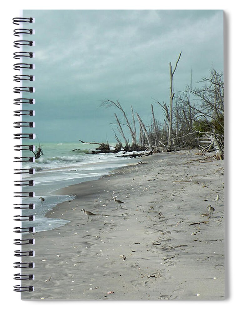 Beach Spiral Notebook featuring the photograph Natural Misty Beach by Rosalie Scanlon
