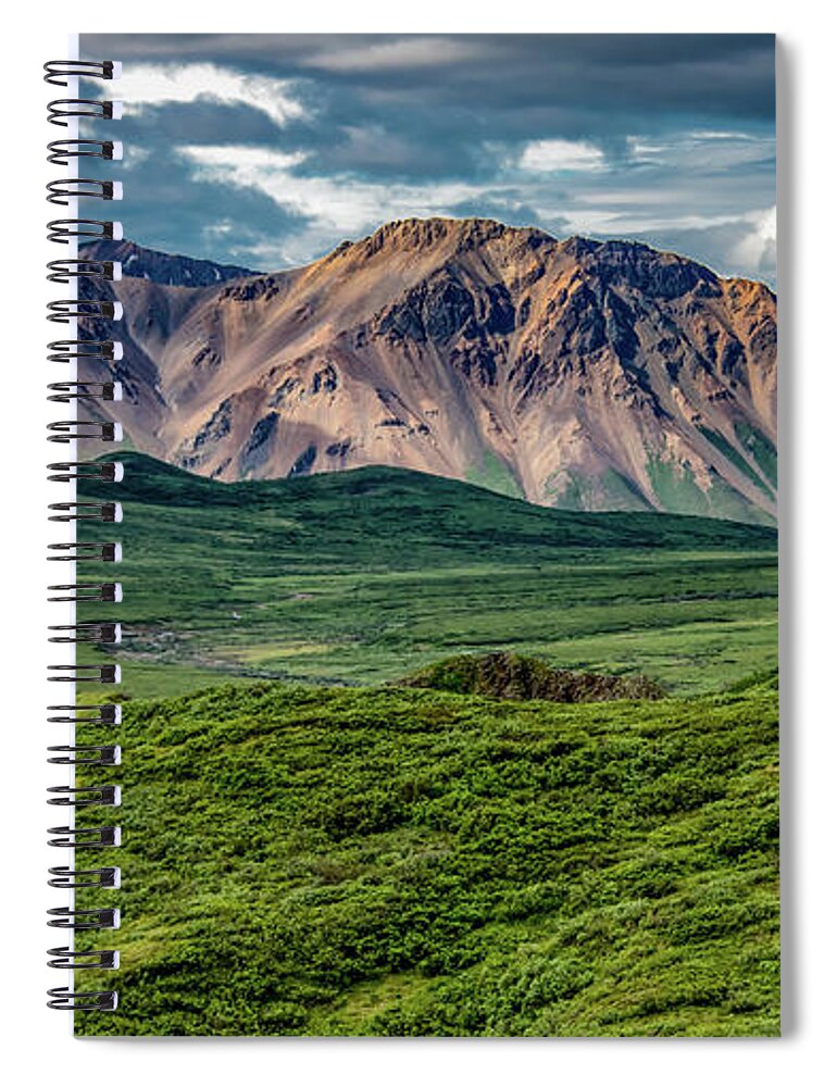 Denali National Park Spiral Notebook featuring the photograph Naturally Denali by Marcy Wielfaert