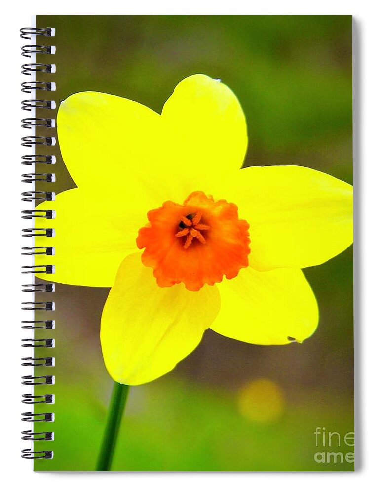 Inspirational Flower Photo Spiral Notebook featuring the photograph Naturally Me by Ann Brown