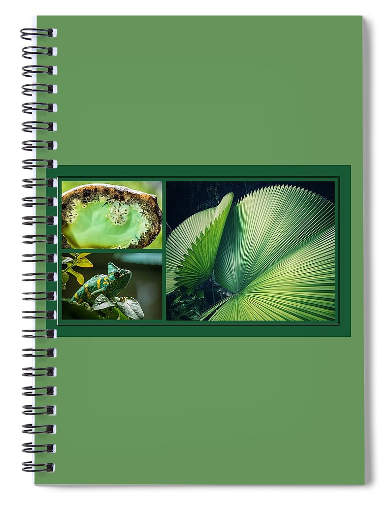 Chameleon Spiral Notebook featuring the mixed media Nature As Art by Nancy Ayanna Wyatt