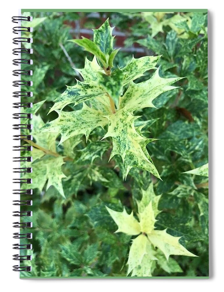 Plant Spiral Notebook featuring the photograph Nature in Green by Lee Darnell