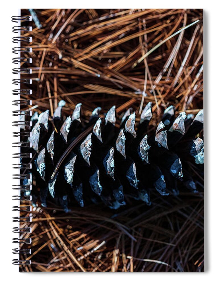 Nature Spiral Notebook featuring the photograph Nature Photography - Pine Cone 2 by Amelia Pearn