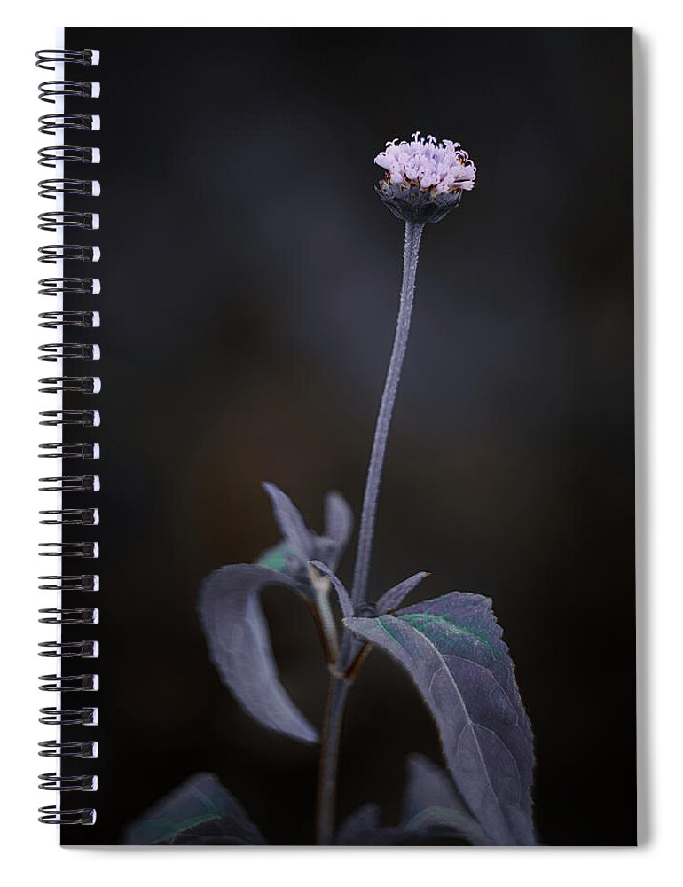 Flowers Spiral Notebook featuring the photograph Nature Pic 3 by Gian Smith