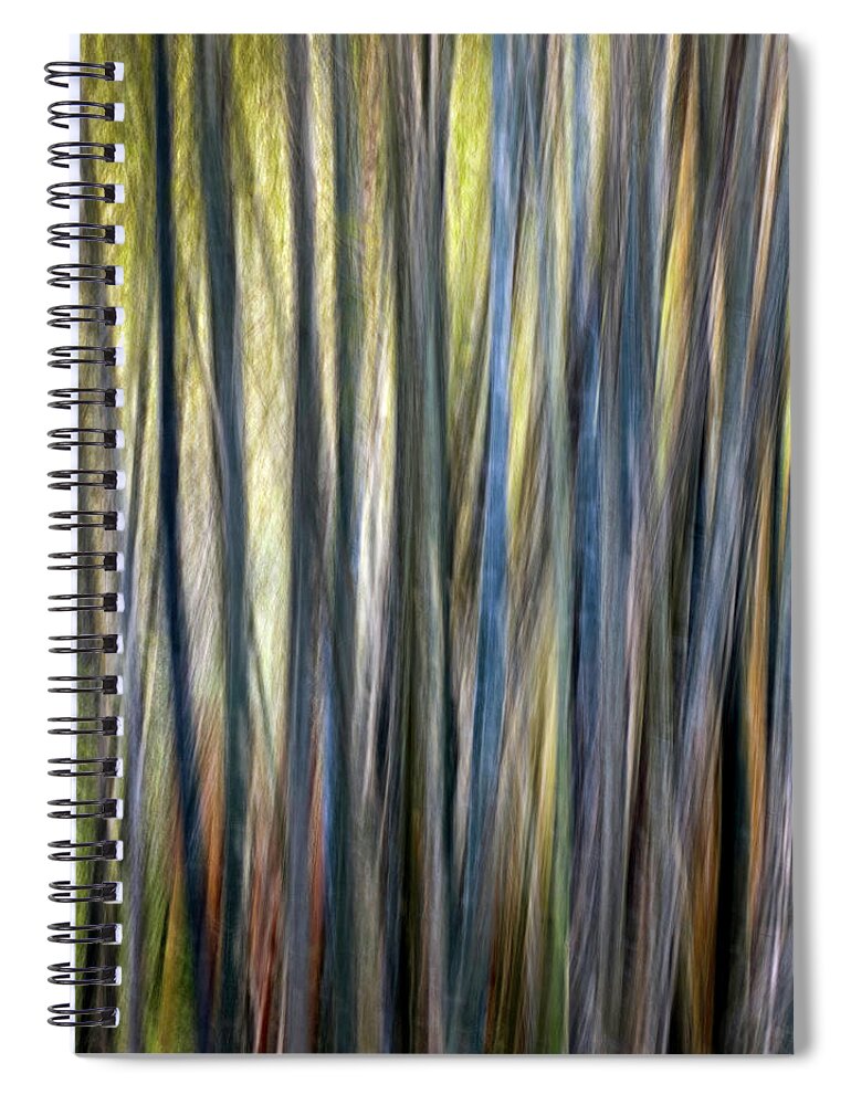2022 Spiral Notebook featuring the photograph Nature's Abstracts - Bamboo ICM by Teresa Wilson