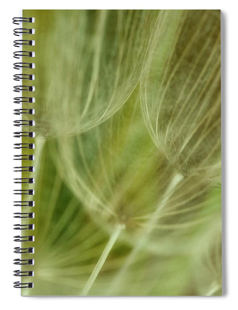Colorado Spiral Notebook featuring the photograph Nature's Art by Phil Marty