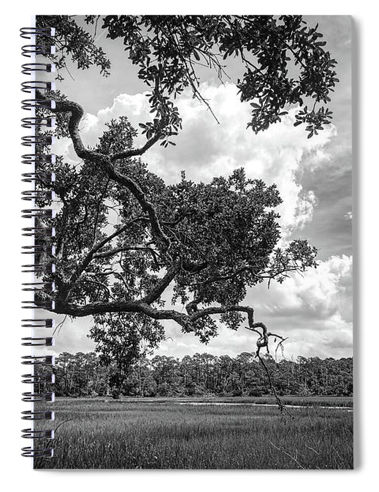 Nature Spiral Notebook featuring the photograph Natures Serenity In Black and White by DB Hayes