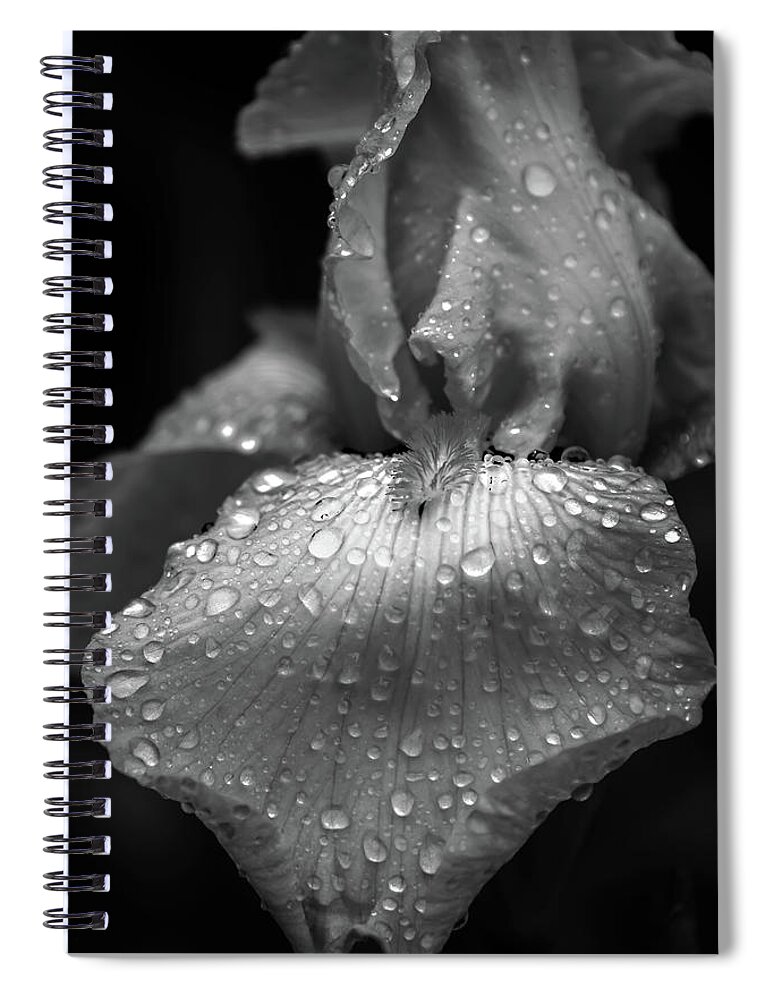 Iris Spiral Notebook featuring the photograph Nature's Tears by Tricia Louque